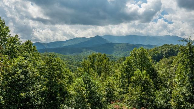 422 AUTUMN Lane, Gatlinburg, TN 37738