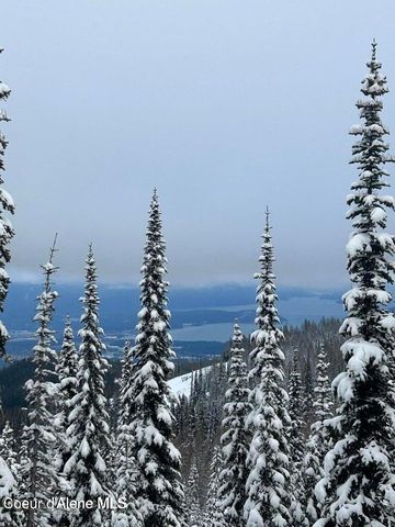 L3 B2 Tall Timber, Sandpoint, ID 83864