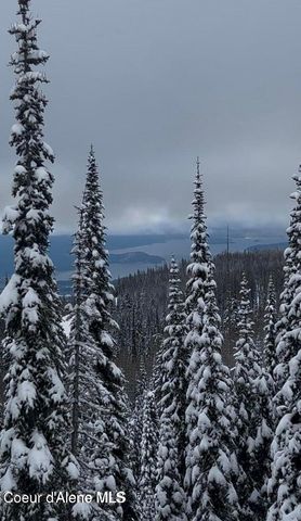 L3 B2 Tall Timber, Sandpoint, ID 83864