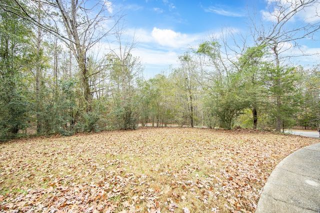 556 Douglas Drive, Ellerslie, GA 31807