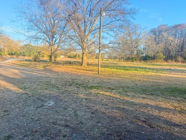 4452 Gene Terry Rd, Cottonwood, AL 36320