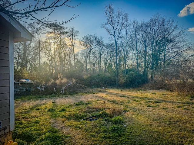 4452 Gene Terry Rd, Cottonwood, AL 36320