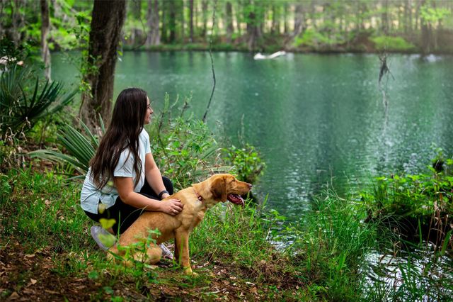 22423 Sawmill Pass Lane, Porter, TX 77365