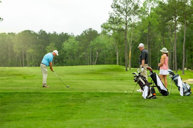 22423 Sawmill Pass Lane, Porter, TX 77365