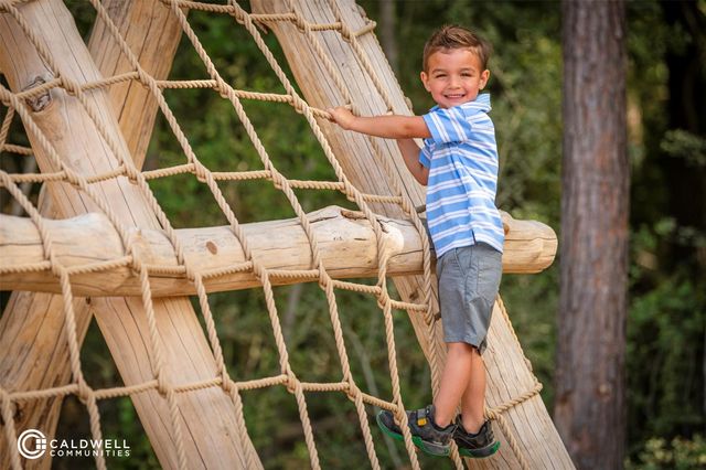 22423 Sawmill Pass Lane, Porter, TX 77365