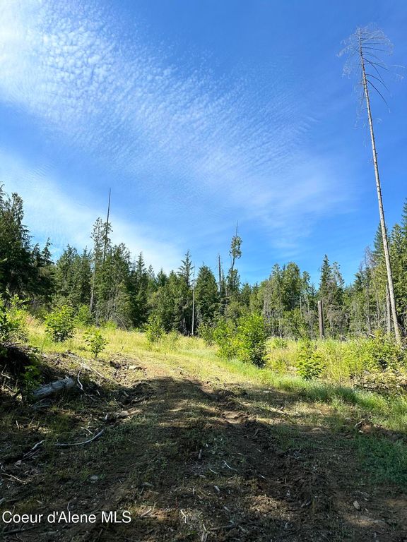 NKA Wellington Rd, Sandpoint, ID 83864