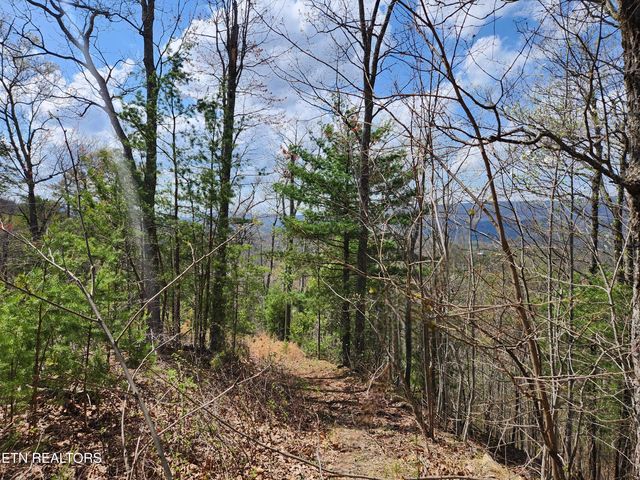 Windmere Way Lot Po49, Sevierville, TN 37862