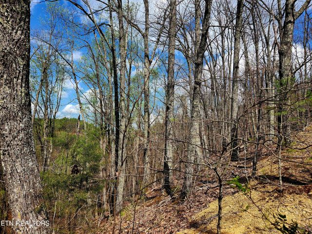 Windmere Way Lot Po49, Sevierville, TN 37862