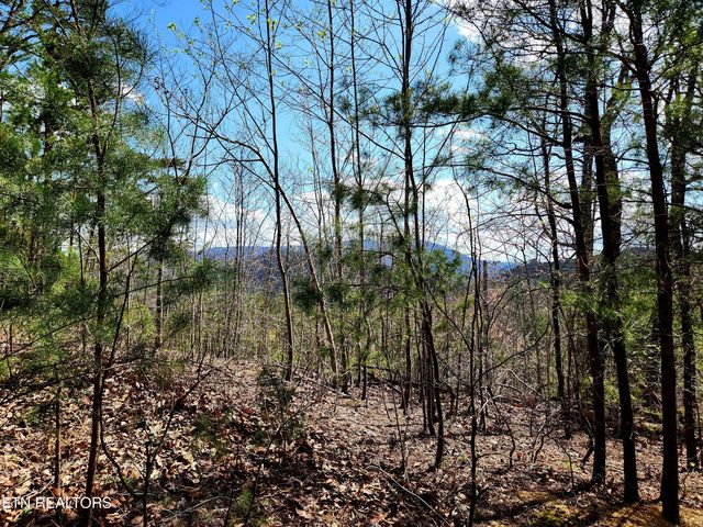 Windmere Way Lot Po49, Sevierville, TN 37862