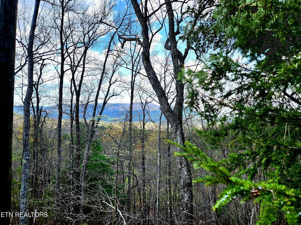 Windmere Way Lot Po49, Sevierville, TN 37862