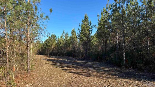 lot 55 Straw Bridge Rd, Allentown, FL 32565