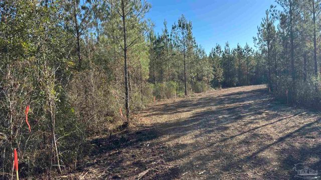 lot 55 Straw Bridge Rd, Allentown, FL 32565