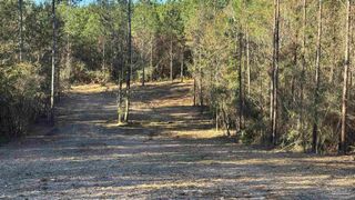 lot 55 Straw Bridge Rd, Allentown, FL 32565