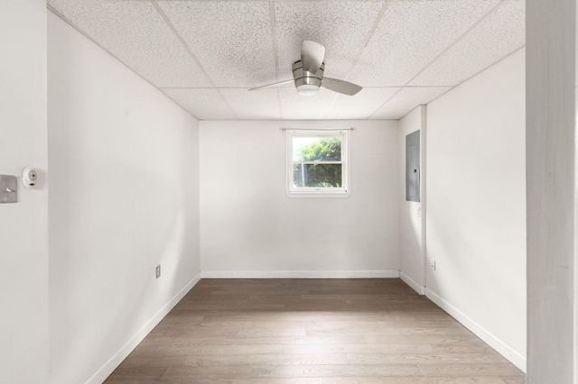 31 WHITE BIRCH DR, North East, MD 21901