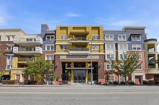 809 Auzerais Avenue 322, San Jose, CA 95126