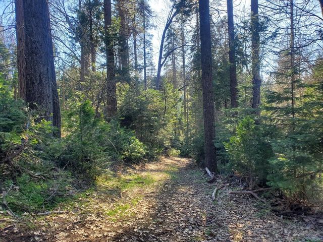 57918 Redwood Trail, Badger, CA 93603