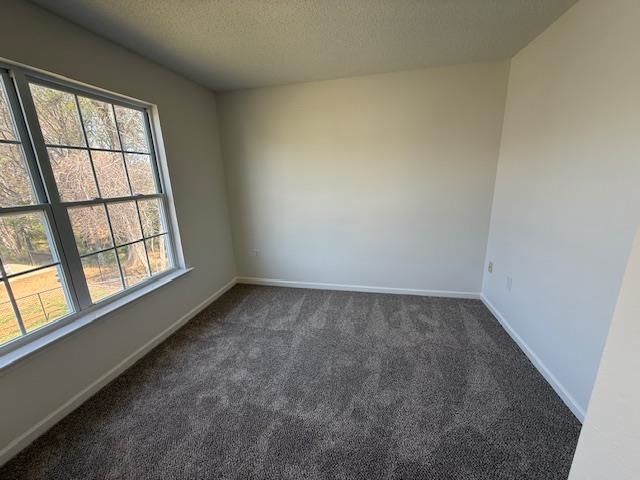 238 Waxberry Court, Boiling Springs, SC 29316