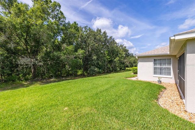 9601 ROLLING CIRCLE, San Antonio, FL 33576