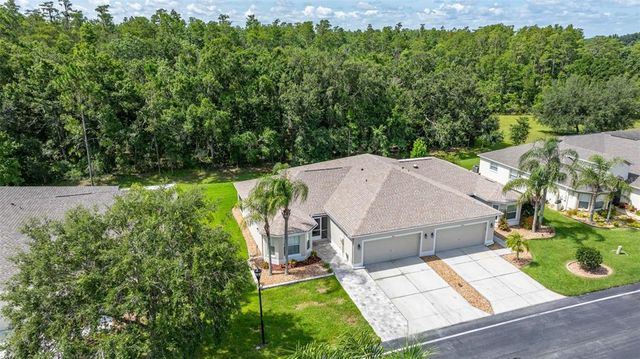 9601 ROLLING CIRCLE, San Antonio, FL 33576
