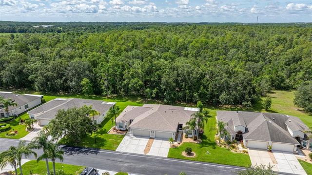9601 ROLLING CIRCLE, San Antonio, FL 33576