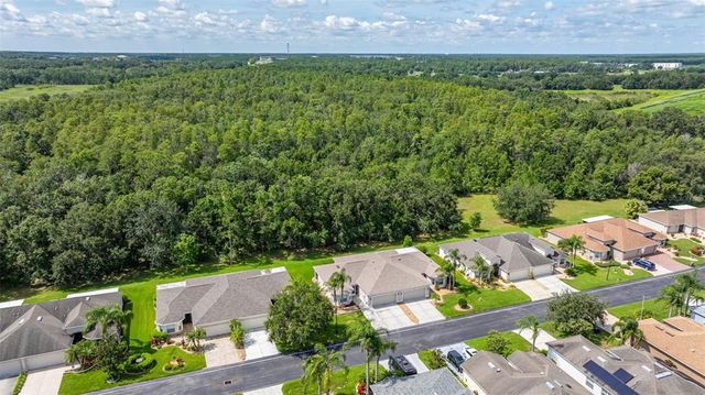 9601 ROLLING CIRCLE, San Antonio, FL 33576