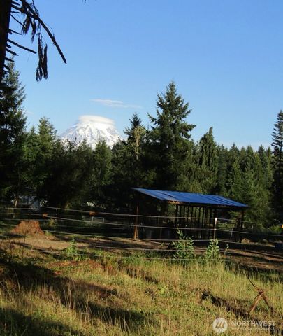 13013 224th Street E, Graham, WA 98338
