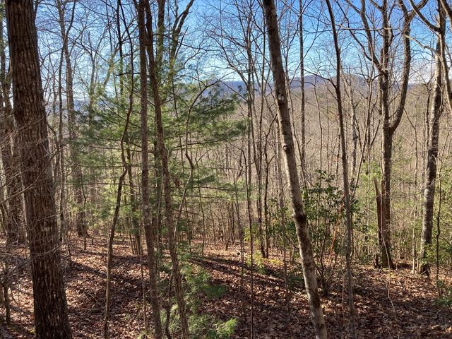 Lot 31 High Ridge Road, Murphy, NC 28906