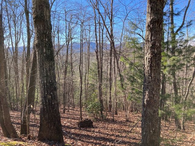 Lot 31 High Ridge Road, Murphy, NC 28906
