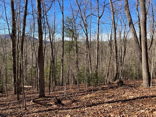 Lot 31 High Ridge Road, Murphy, NC 28906