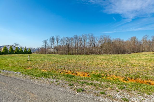 0 Deer Run Drive Jh200, Jasper, TN 37347