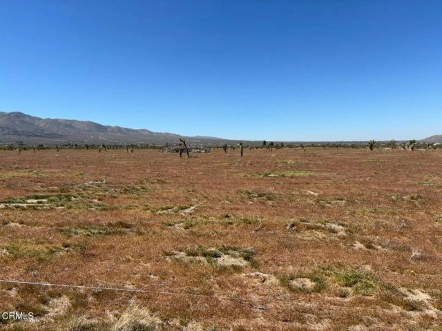 0 Buena Vista, Lucerne Valley, CA 92356