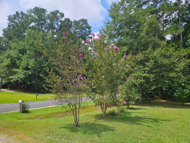 1075 Mockingbird Lane, Manning, SC 29102