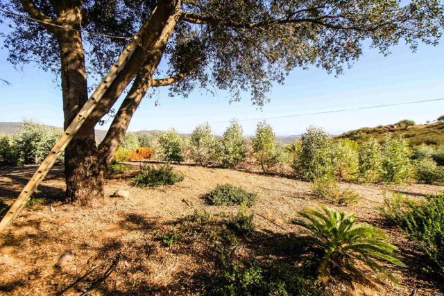 19363 Elizabeth Drive, Valley Center, CA 92082