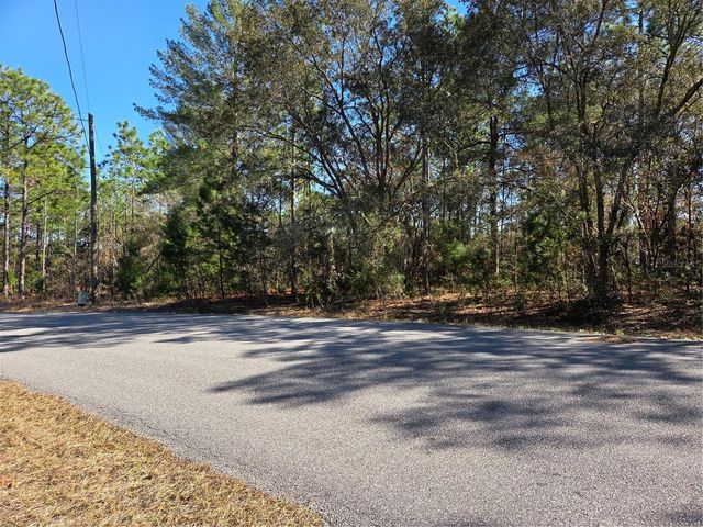 3686 W PARKVIEW DRIVE, Dunnellon, FL 34433