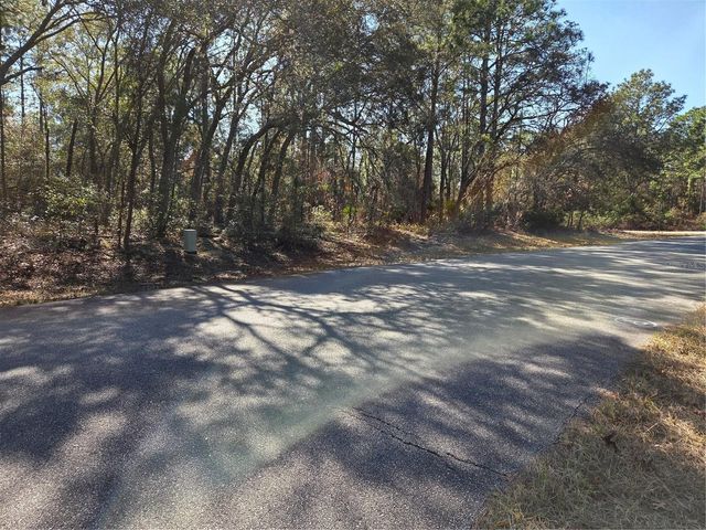 3686 W PARKVIEW DRIVE, Dunnellon, FL 34433