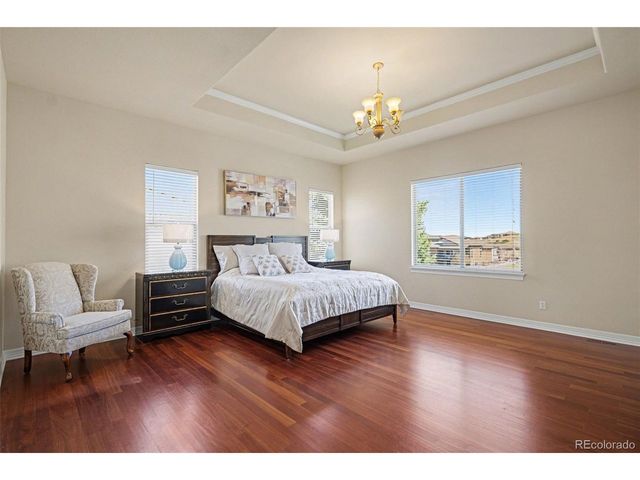 10528 Rivington Ct, Lone Tree, CO 80124