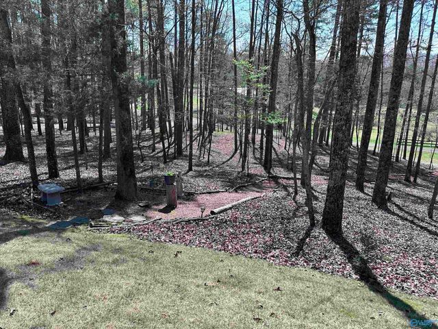 3300 Hardinger Road, Fort Payne, AL 35968