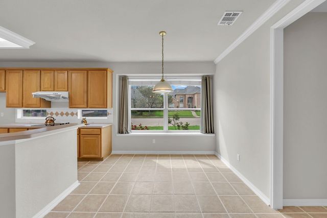 221 Woodlake Drive, Murphy, TX 75094