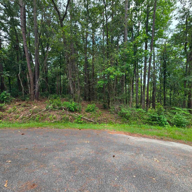 1051 Irene Ct., Conway, SC 29526 — photo 4