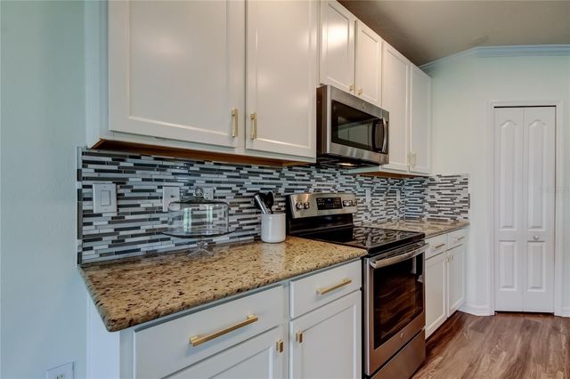 30943 PARROT REEF COURT, Wesley Chapel, FL 33545