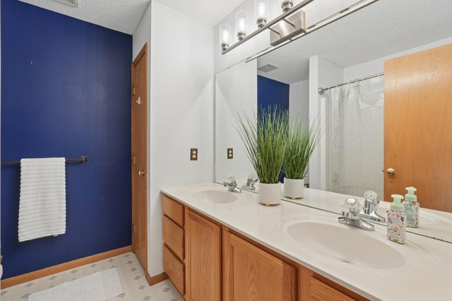 17352 Homestead Trail, Lakeville, MN 55044