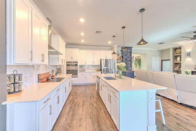 9926 WILD BEGONIA LOOP, Land O Lakes, FL 34637