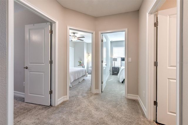 9926 WILD BEGONIA LOOP, Land O Lakes, FL 34637