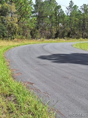 4138 W Dorchester Circle, Dunnellon, FL 34434