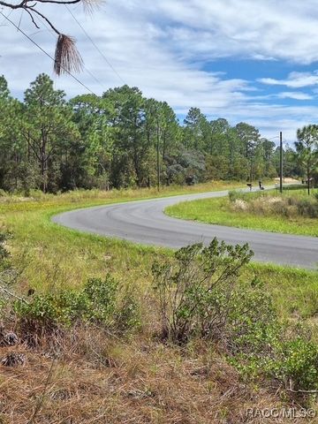 4138 W Dorchester Circle, Dunnellon, FL 34434