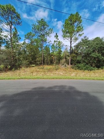 4138 W Dorchester Circle, Dunnellon, FL 34434
