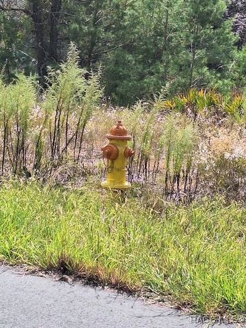 4138 W Dorchester Circle, Dunnellon, FL 34434