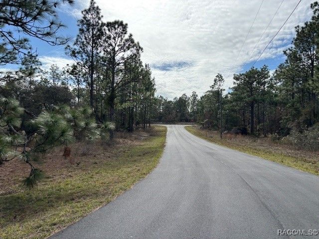 4138 W Dorchester Circle, Dunnellon, FL 34434