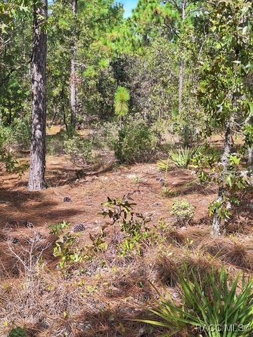 4138 W Dorchester Circle, Dunnellon, FL 34434