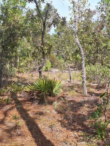 4138 W Dorchester Circle, Dunnellon, FL 34434